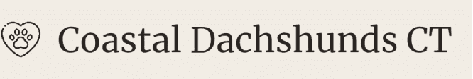 Coastal Dachshunds CT" is written in black text on a beige background. An icon of a heart with a paw print inside is placed to the left of the text.